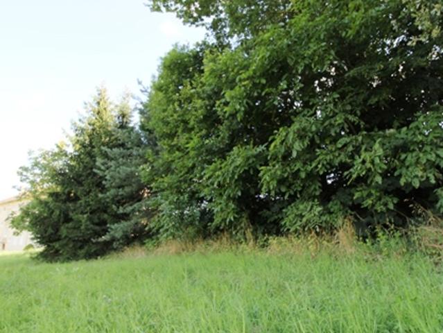 Grundstück kaufen in Pregarten, Oberösterreich