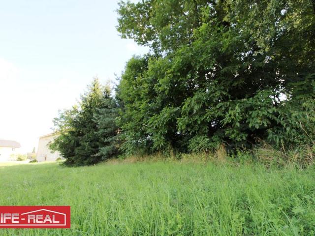 Grundstück kaufen in Freistadt, Oberösterreich