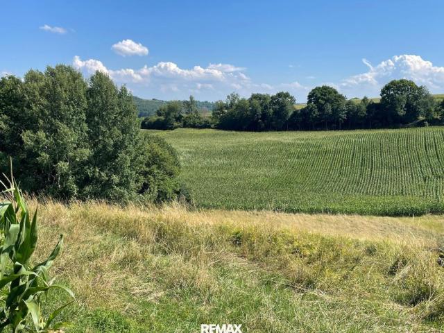 Grundstück kaufen in St. Martin im Sulmtal, Steiermark