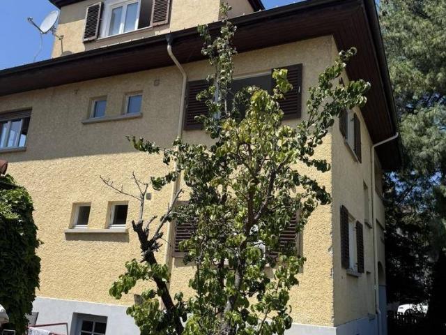 Haus kaufen in Bregenz, Vorarlberg