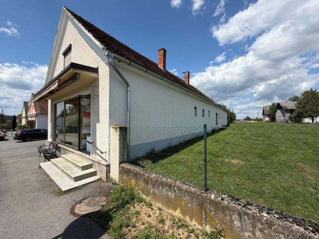 Haus kaufen in Bildein, Bezirk Güssing