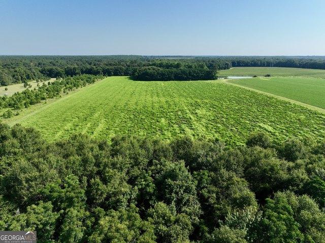 Land for sale in Hawkinsville, Georgia