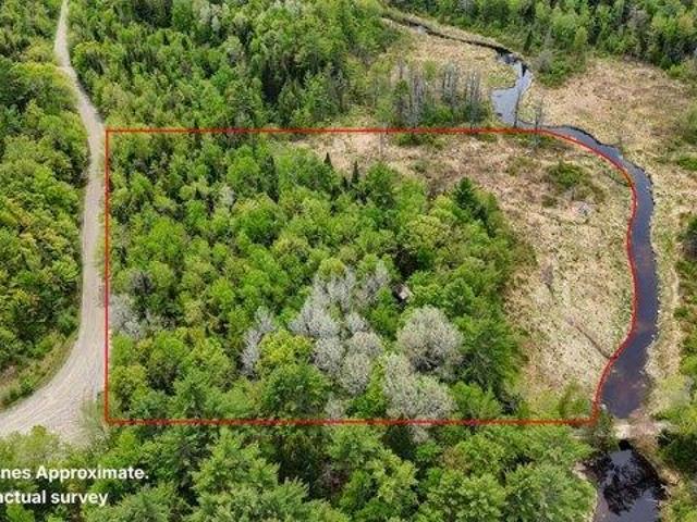 Land for sale in Vienna, Maine