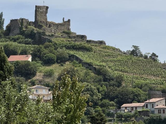 Appartement vente à Faubourg De Gere, Vienne