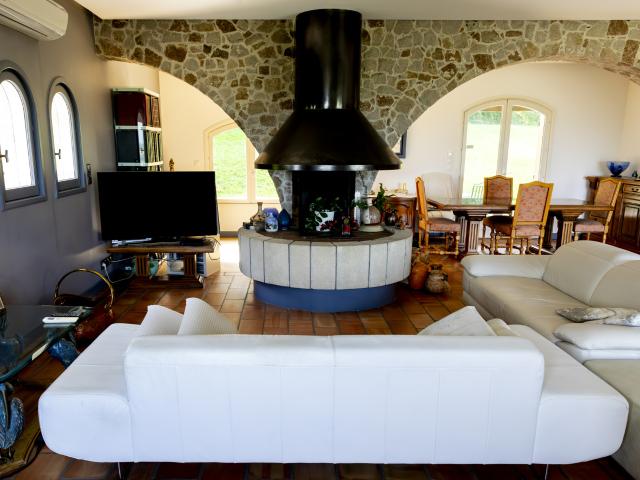 Château vente à Vienne