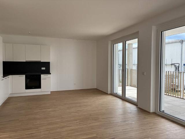 Wohnung mieten in Mödling, Bezirk Mödling