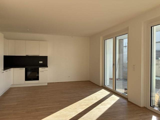 Wohnung mieten in Mödling, Bezirk Mödling