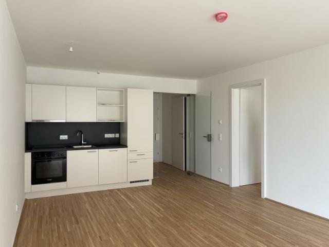 Wohnung mieten in Vösendorf, Niederösterreich