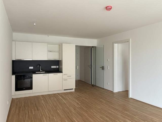 Wohnung mieten in Mödling, Niederösterreich