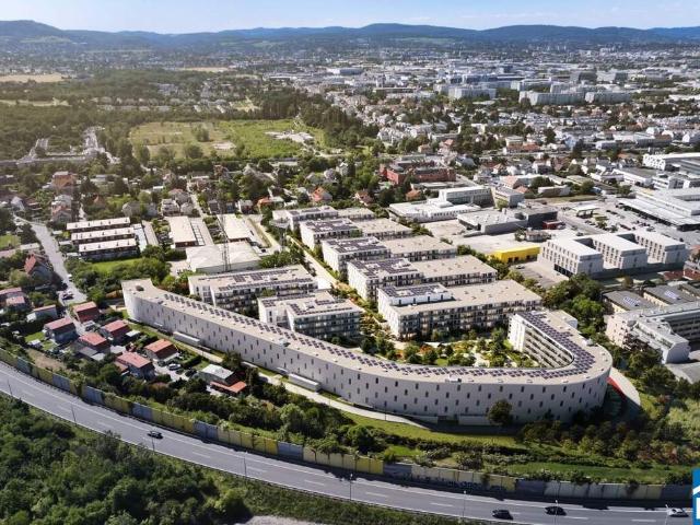 Wohnung mieten in Mödling, Bezirk Mödling