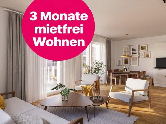 Wohnung mieten in Mödling, Bezirk Mödling