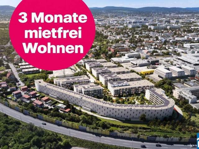 Wohnung mieten in Mödling, Bezirk Mödling