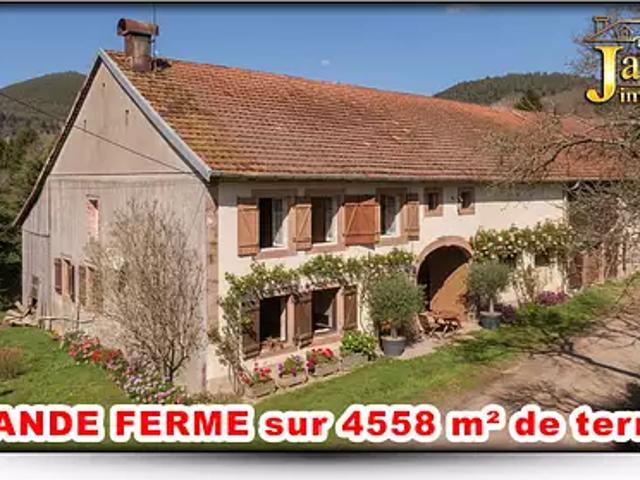 Maison vente à Saint-Dié-des-Vosges, Vienville