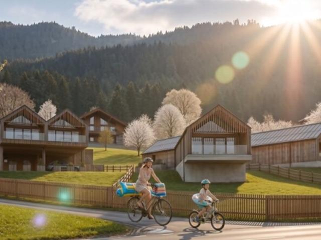 Haus kaufen in Weißensee, Bezirk Spittal an der Drau