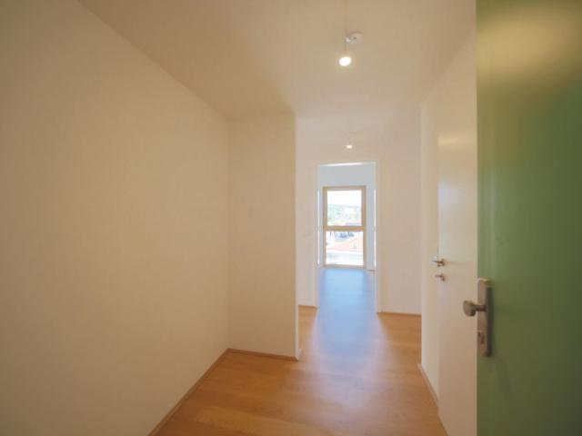 Wohnung kaufen in Mödling, Bezirk Mödling