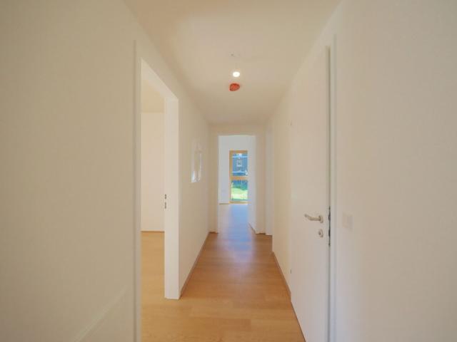 Wohnung kaufen in Mödling, Bezirk Mödling