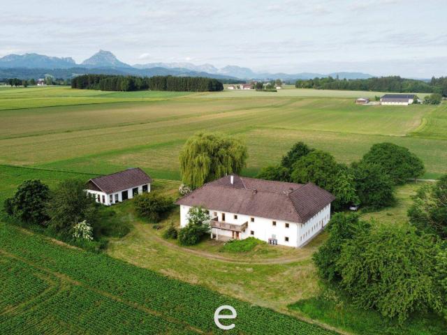 Haus kaufen in Pettenbach, Oberösterreich