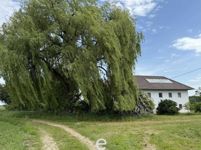 Haus kaufen in Pettenbach, Oberösterreich