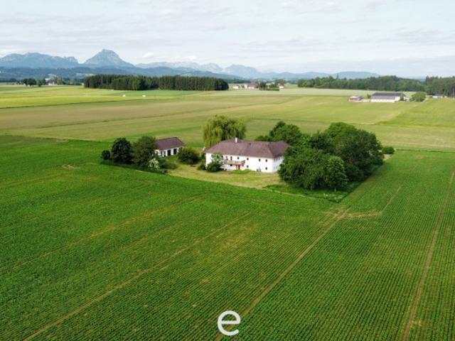 Bauernhaus kaufen in Pettenbach, Oberösterreich