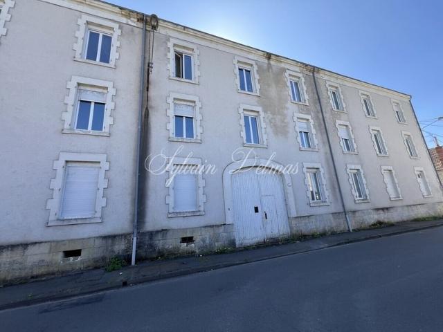 Château vente à Vierzon