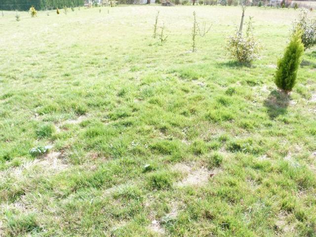 Terrain vente à Vierzon