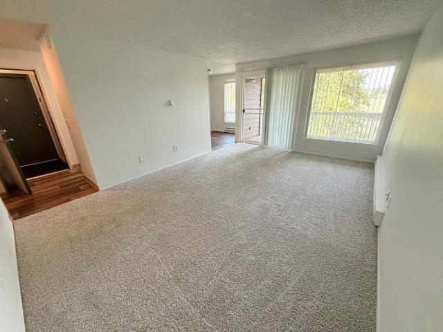 Apartment for rent in Federal Way, Washington