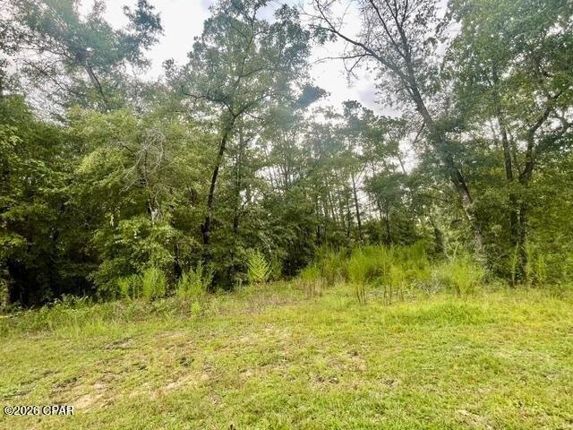 Land for sale in Florida