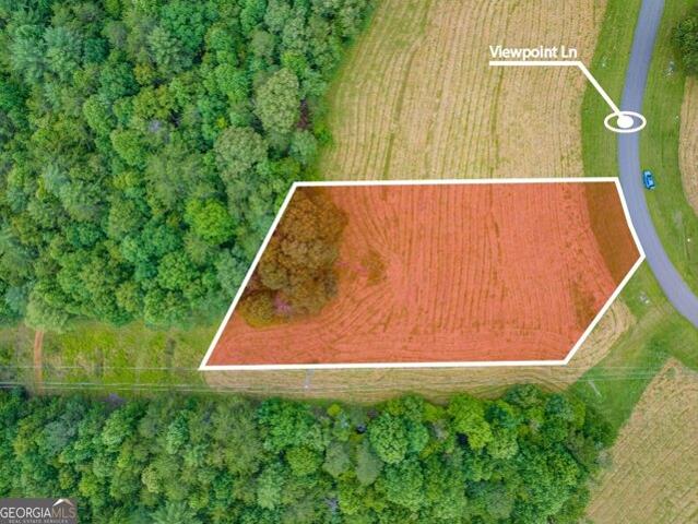 Land for sale in Blairsville