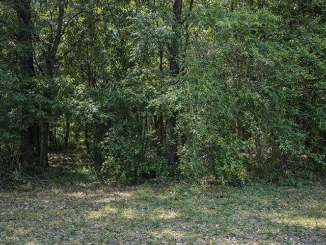 Land for sale in Prichard, Alabama