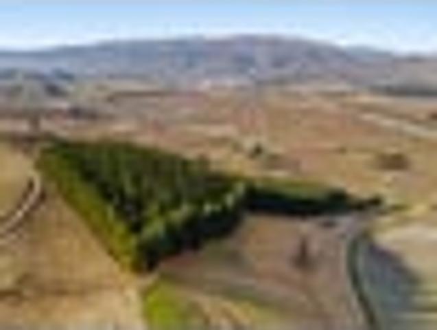 Land for sale in Otakou