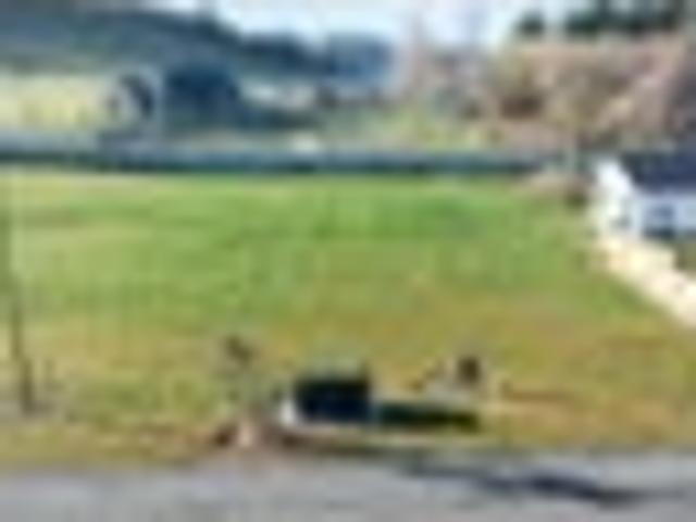 Land for sale in Gore, Southland