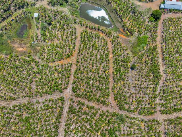 Property for sale in Sandy Beach, New South Wales
