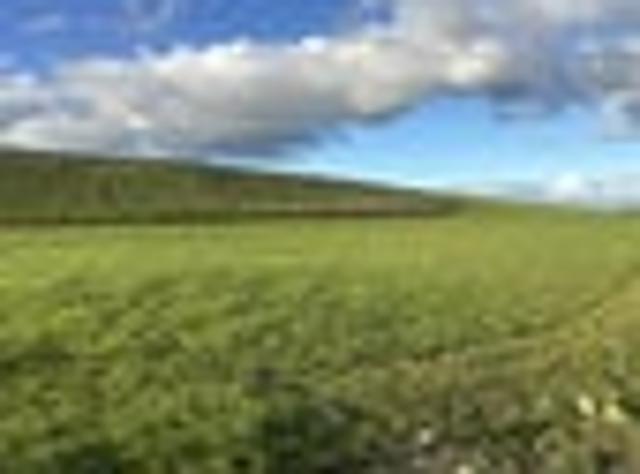 Land for sale in Makikihi