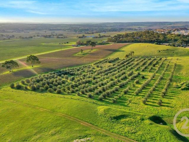 Cottage for sale in Penrice, South Australia
