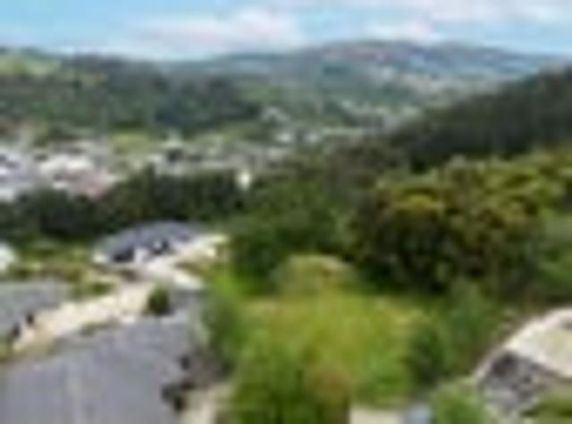 Land for sale in Otakou