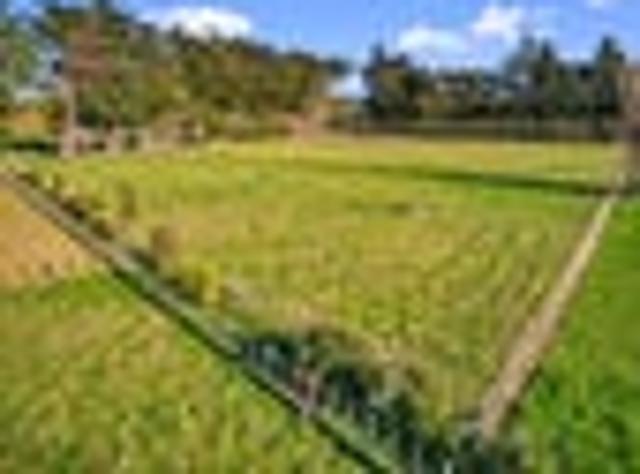 Land for sale in Ashhurst