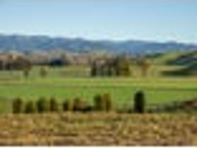Land for sale in Opaki, Wellington