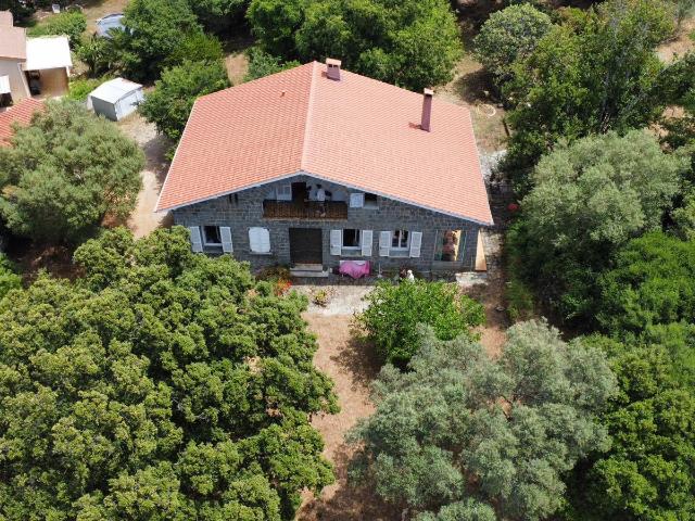 Maison vente à Sartène, Viggianello