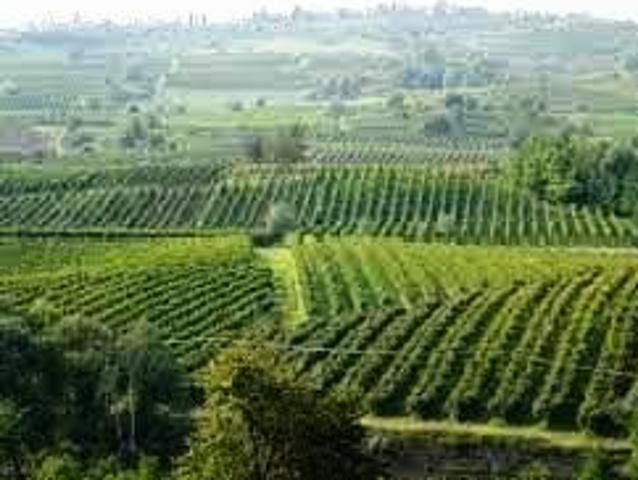 Terreno in vendita a Santa Maria Della Versa, Lombardia
