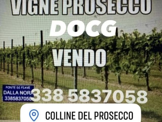 Terreno in vendita a Valdobbiadene, Veneto