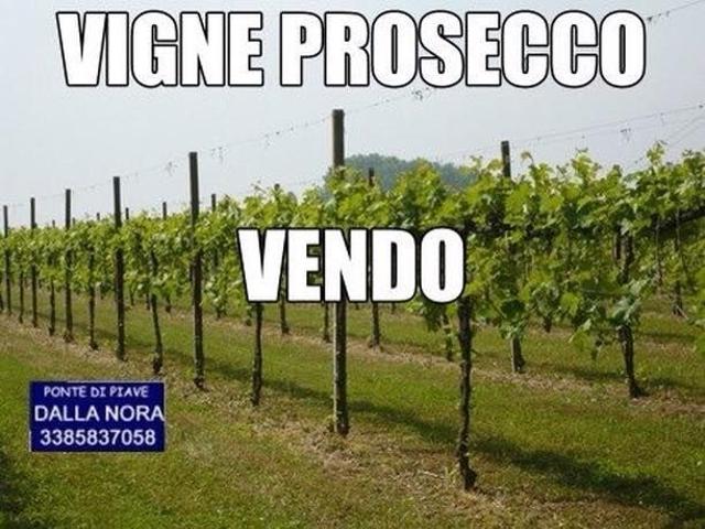 Terreno in vendita a Ponte Di Piave, Veneto