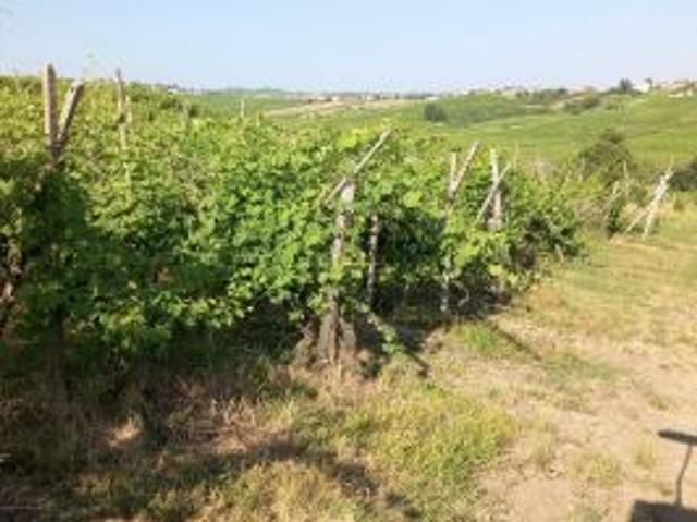 Terreno in vendita a Ziano Piacentino, Reggio Emilia