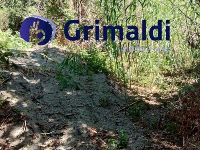 Terreno in vendita a Barano D'ischia, Campania