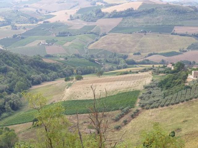 Terreno in vendita a Marche, Ascoli Piceno