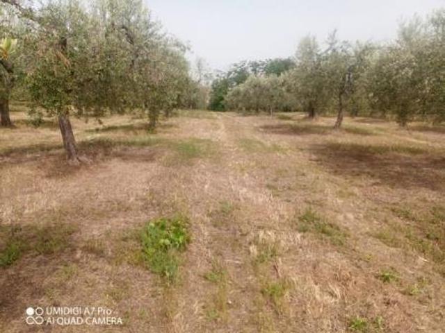 Terreno in vendita a Lanciano, Abruzzo