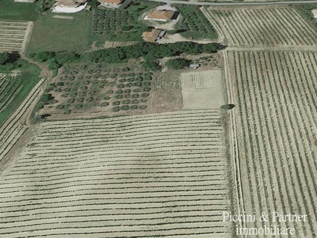Terreno in vendita a Abbadia Di Montepulciano, Toscana