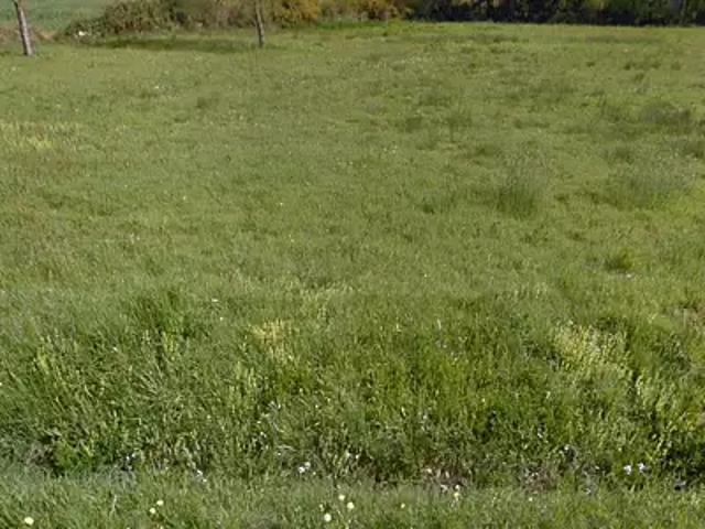 Terrain vente à Châteaubriant-Ancenis, Vigneux-de-bretagne