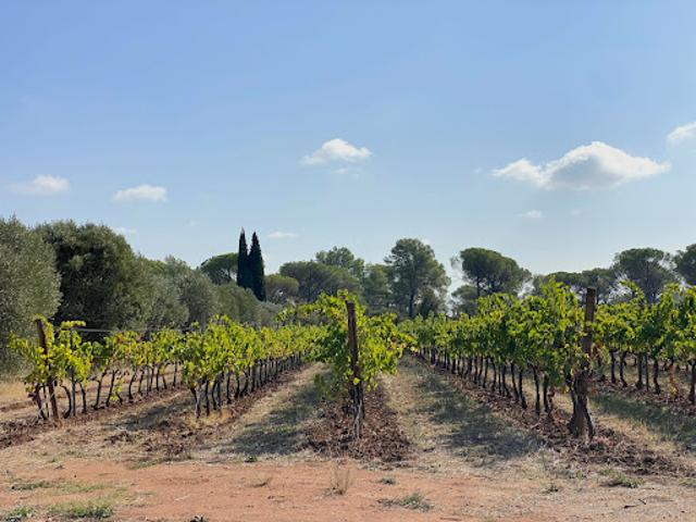 Terrain vente à Arrondissement de Draguignan, La Motte