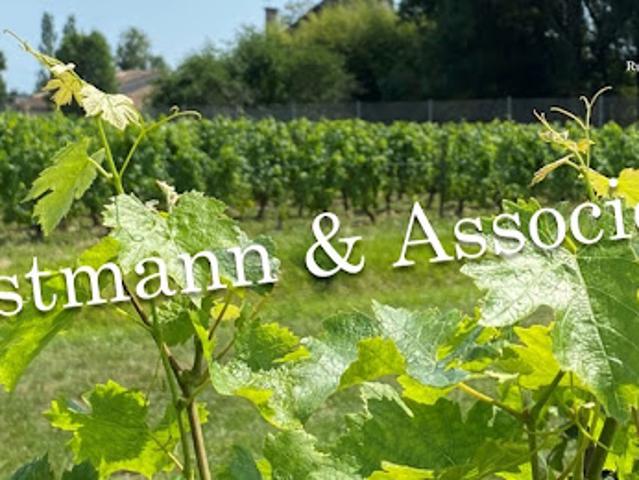 Terrain vente à Bordeaux