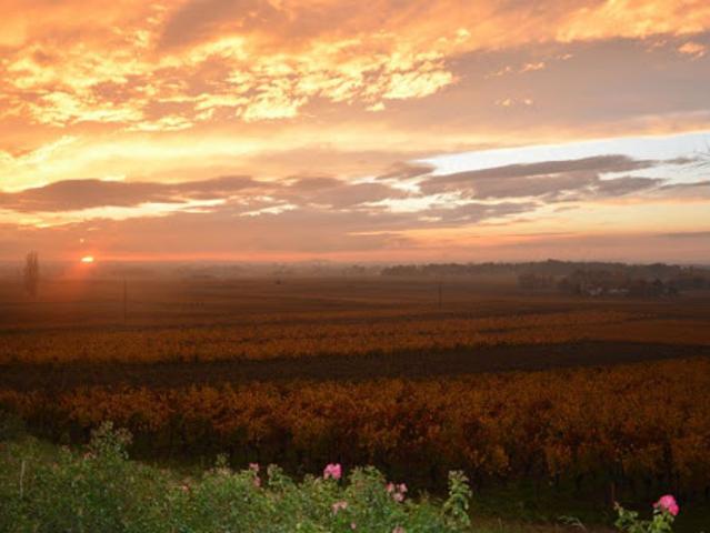 Terrain vente à Libourne, Saint-emilion